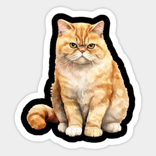 Exotic Shorthair Cat Sticker